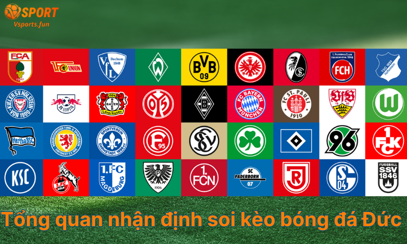 tong-quan nhan-dinh-soi-keo-bong-da-duc
